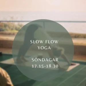 Slow flow yoga (Start V10)