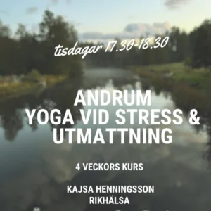 🌿 Andrum - Yoga vid stress & utmattning