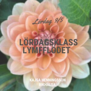 Lördagsklass – Lymfflöde, Lördag 9/5