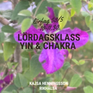 Lördagsklass – Yin & chakra, Lördag 30/5